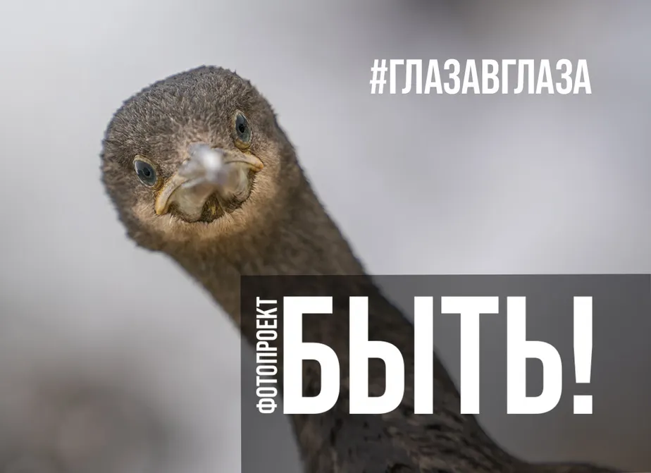 БАСК и Дмитрий Кох запускают фотопроект «БЫТЬ!»