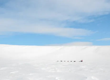 На Камчатке стартовали съемки семейного приключенческого фильма «Снежная восьмерка»