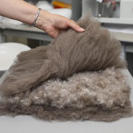 Казарка&Кивиут: чисто российская синергия