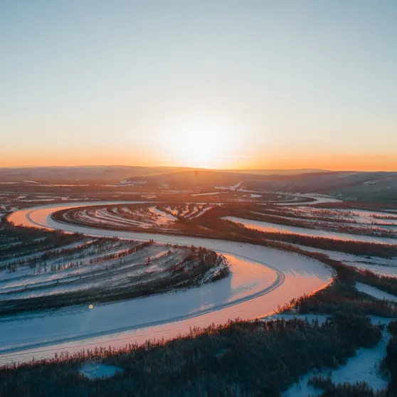 Две недели Арктики