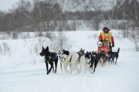 ​Гонка Берингия-2019 завершилась. Победитель - Вячеслав Демченко!