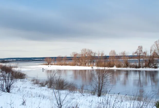 Как выбрать зимнюю одежду для новогодних прогулок: советы от экспертов BASK