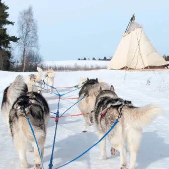«Рузская Аляска». Место, где свет