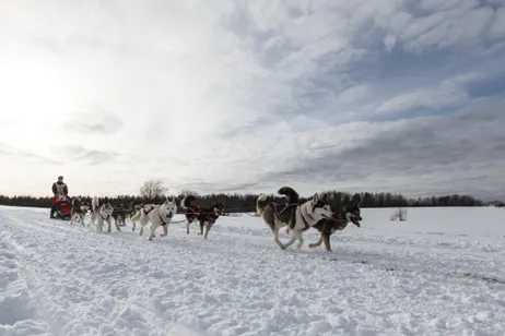 Гонка Северная Надежда 2016 - фотоотчет