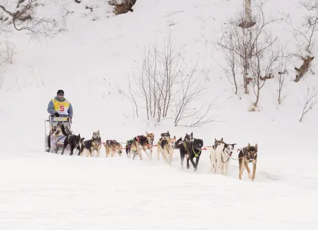 БАСК – генеральный спонсор гонки «Берингия. Авача–2026»