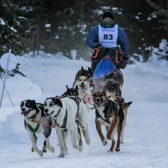 Москва-Тотьма-Камчатка: К «Берингии 2021» – на всех парусах