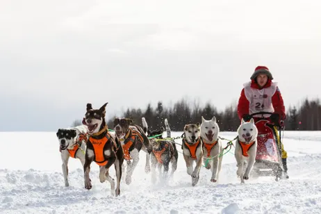 XI Международная этапная гонка на собачьих упряжках “СЕВЕРНАЯ НАДЕЖДА 2017″ в поддержку детей