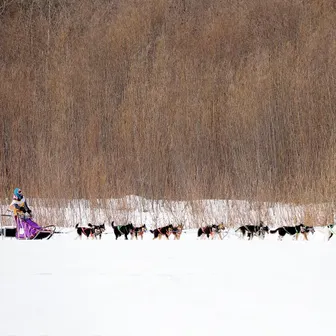 «Берингия — 2020»: четыре этапа позади