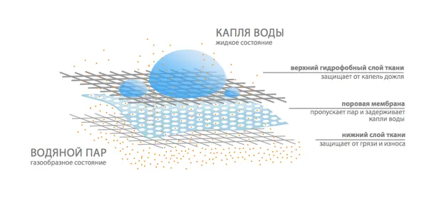 Мембраны: ​«Взгляд изнутри» – как это устроено и работает