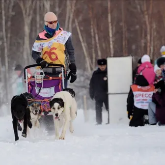 Тем временем на «Беренгии»